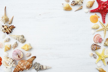 Seashells and starfish on a white wooden background