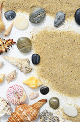 Beach sand, sea shells and starfish on a white wooden background
