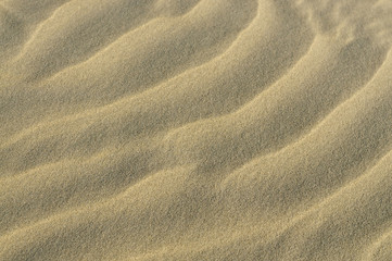 Close Up of Sand Texture at Beach