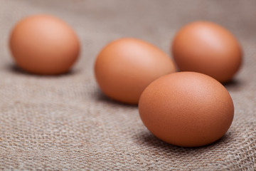 Fresh eggs scattered on sacking
