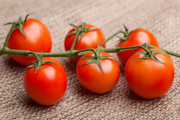 Bunch of fresh tomatoes on sacking