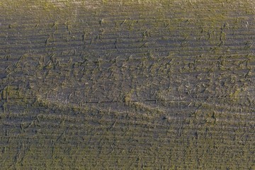 Old destroyed wooden background.