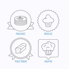 Pancakes, brioche muffin and toast bread icons.