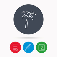 Palm tree icon. Travel or vacation symbol.