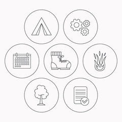 Maple tree, camping tent and hiking boots.