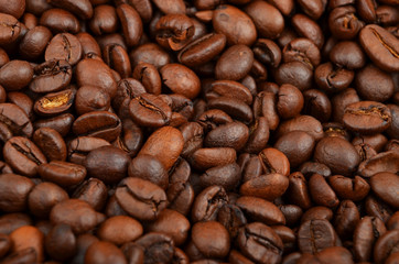 Coffee beans background