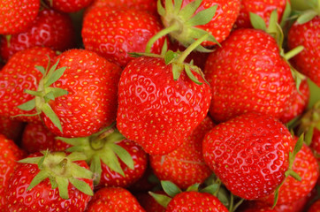 Strawberry, close up