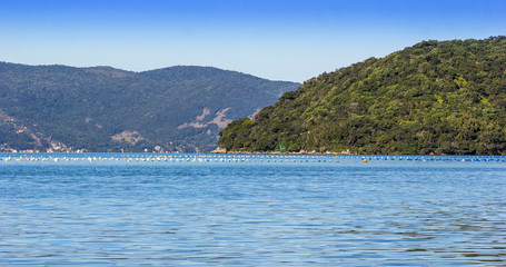 Fototapeta premium Baía com cultivo de ostras.