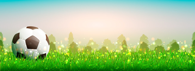 soccer ball on the grass. Beautiful summer background