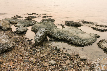 rock on beach area