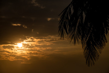 Obraz premium Silhouette scene of Sunrise with palm tree