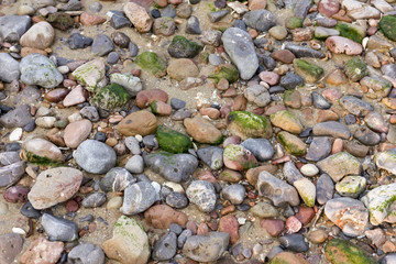 stone beach background