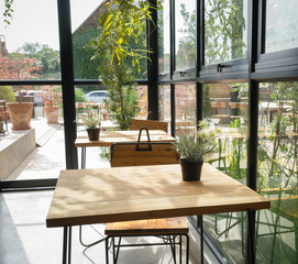 Liiving room interior with  green leaf in flowerpot on wooden table in glass room  ( twilight and evening tone color )