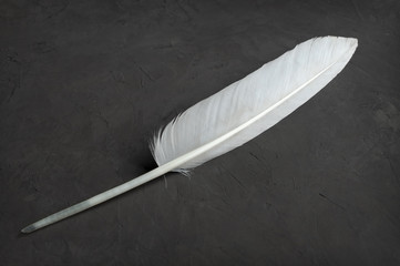 Feather pen close-up