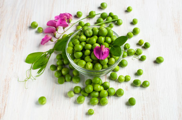 Fresh green peas with pink blossom