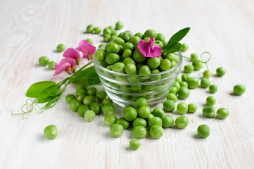 Fresh green peas with pink blossom