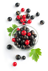 Ripe fresh black and red currants