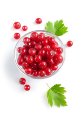 Ripe fresh red currants