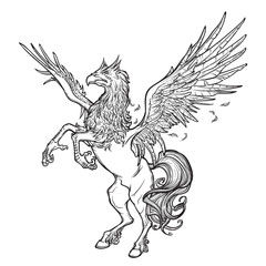 Hippogriff or Hippogryph supernatural beast. Sketch on a white background
