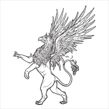 Griffin, griffon, or gryphon on grunge background.