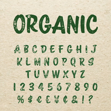 Organic Brush Script Lettering Font. Handwritten Calligraphic Alphabet.