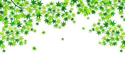 もみじ　夏　風景　背景