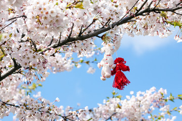 Blooming cherry tree in spring with pair of handmade thread toys hanging on the branch