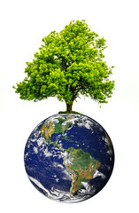 Tree on top of the world. Save the environment. Globe image courtesy of NASA - Visible Earth