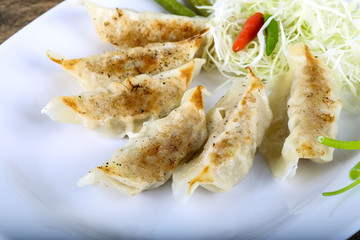 Japanese dumplings