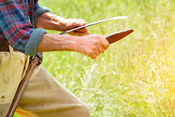 Farmer with beard sharpening his scythe for using to mow the gra © michelangeloop