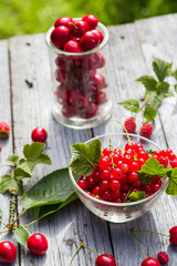 Freshly picked fruits currants cherries table