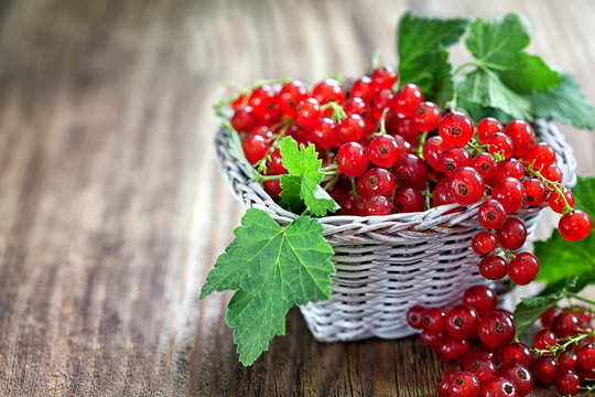 Organic red currant on wooden background with copy space 
