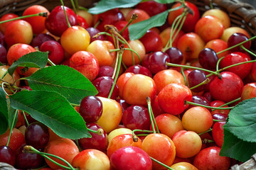 Sweet Cherries close up