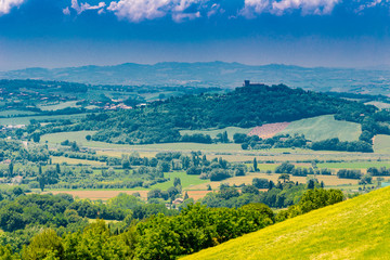 Obraz premium green hills