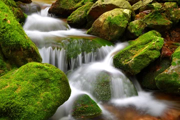 Poster Mountain creek in the National park Sumava-Czech Republic © vencav