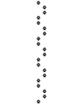 Black footprints of dog, vector