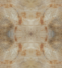 Tree stump cut, wooden background