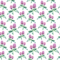 Watercolor clover herb. seamless pattern