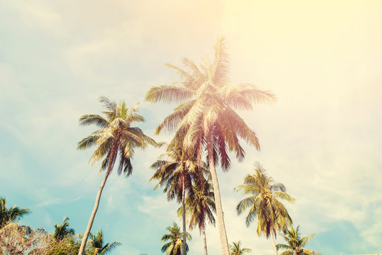 Group Palm Trees Vintage Effect Travel Design