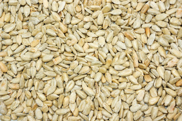 Sunflower Seeds Texture As Background.