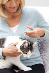 Woman Applying Tick And Flea Treatment To Pet Cat