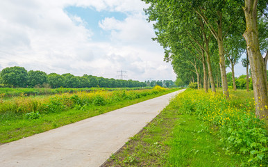 Path along a canal in spring