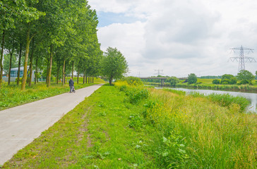 Wild flowers along a canal in spring