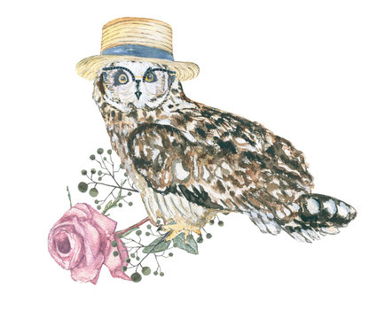watercolor owl hipster / bird with design elements