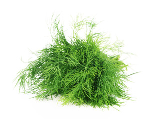 Fresh Dill isolated on white background
