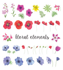 Set of Floral Vector Elements for your Design.