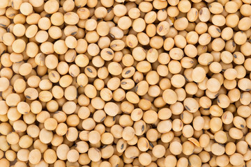 soy beans background