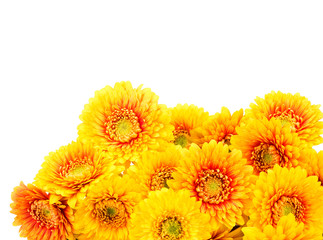 Bouquet of gerber flowers on white background