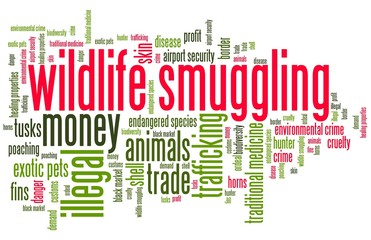 Wildlife smuggling