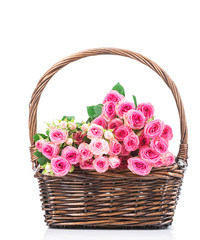 Fototapeta na wymiar Pink roses in the basket isolated on white background